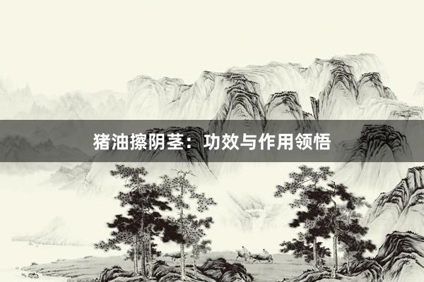 猪油擦阴茎：功效与作用领悟