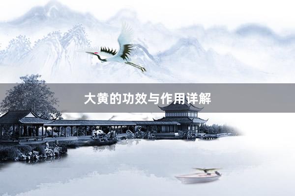 大黄的功效与作用详解
